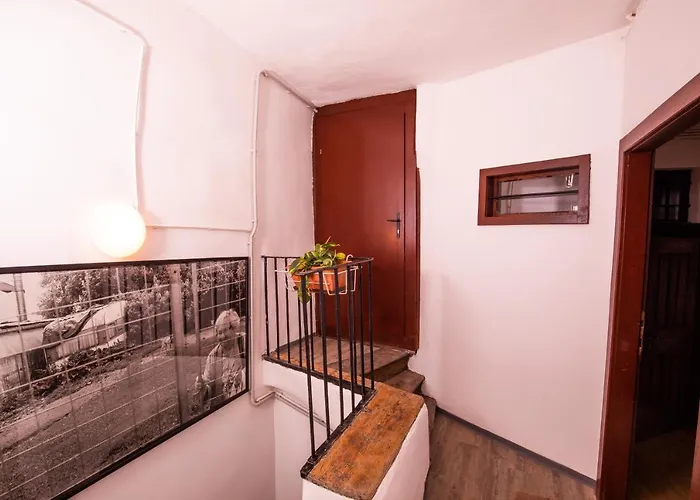 Deznik Ostello Lubiana